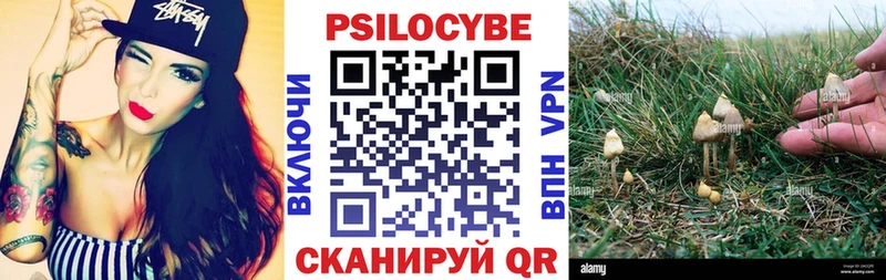 Псилоцибиновые грибы ЛСД  цена наркотик  Пролетарск 